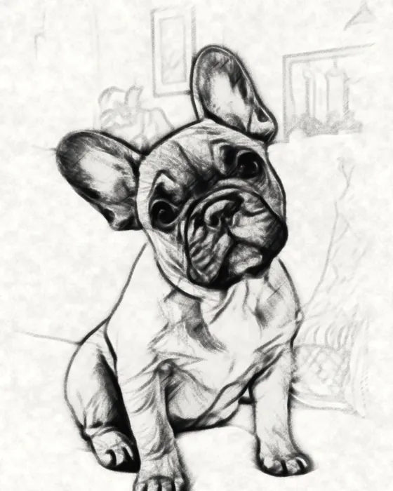The French bulldog as a charcoal sketch made on the phone