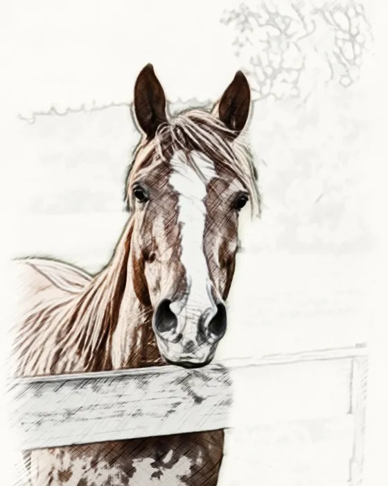 The horse as a coloredPencil sketch made on the phone